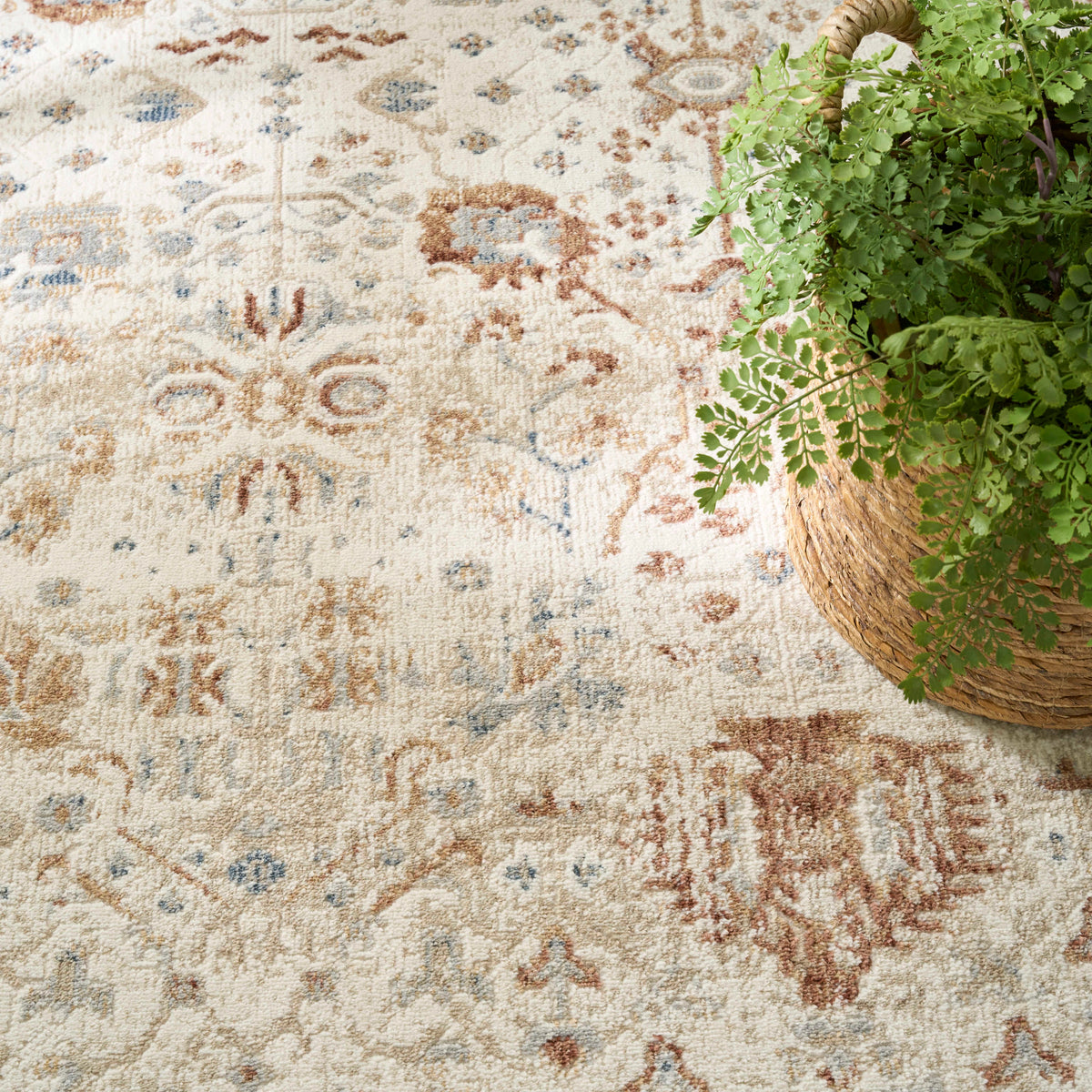 Isabeau Rust Ivory Area Rug