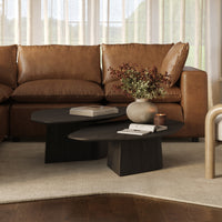 Roche Black Ash Nesting Coffee Table Set