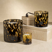 Opal Glass Five-Wick Candle Jar Amber & Black/ Cedar Leaf & Hinoki Cypress (Set of 2)