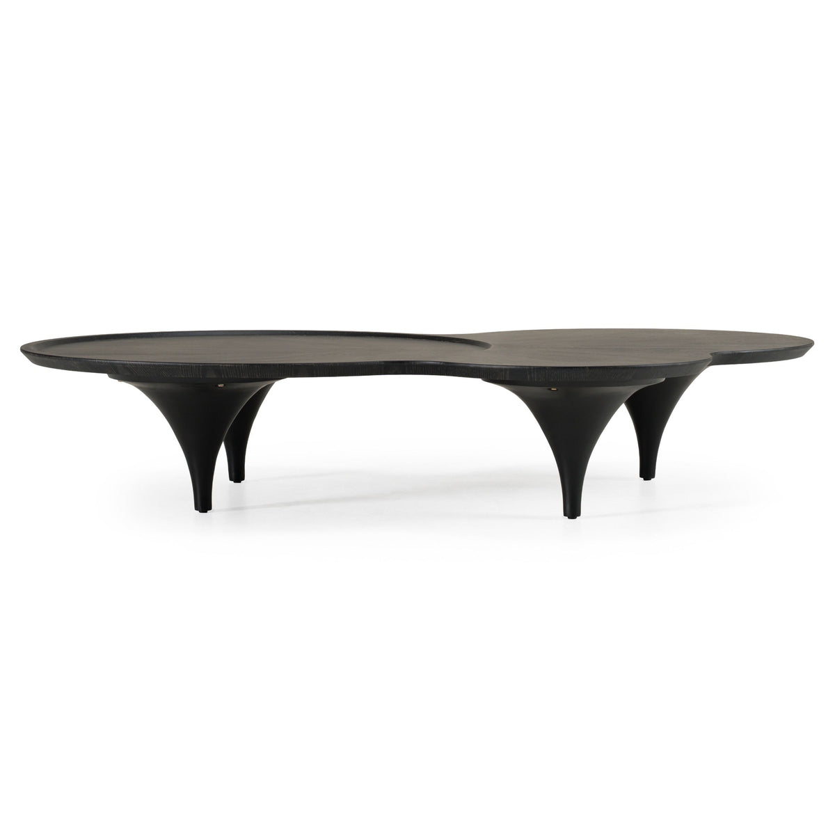 Tisha 64" Modern Free Form Black Ash Coffee Table