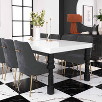 Prado Dark Grey Velvet With Gold Frame Chair - Luxury Living Collection