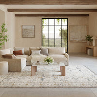 Isabeau Light Blue Area Rug