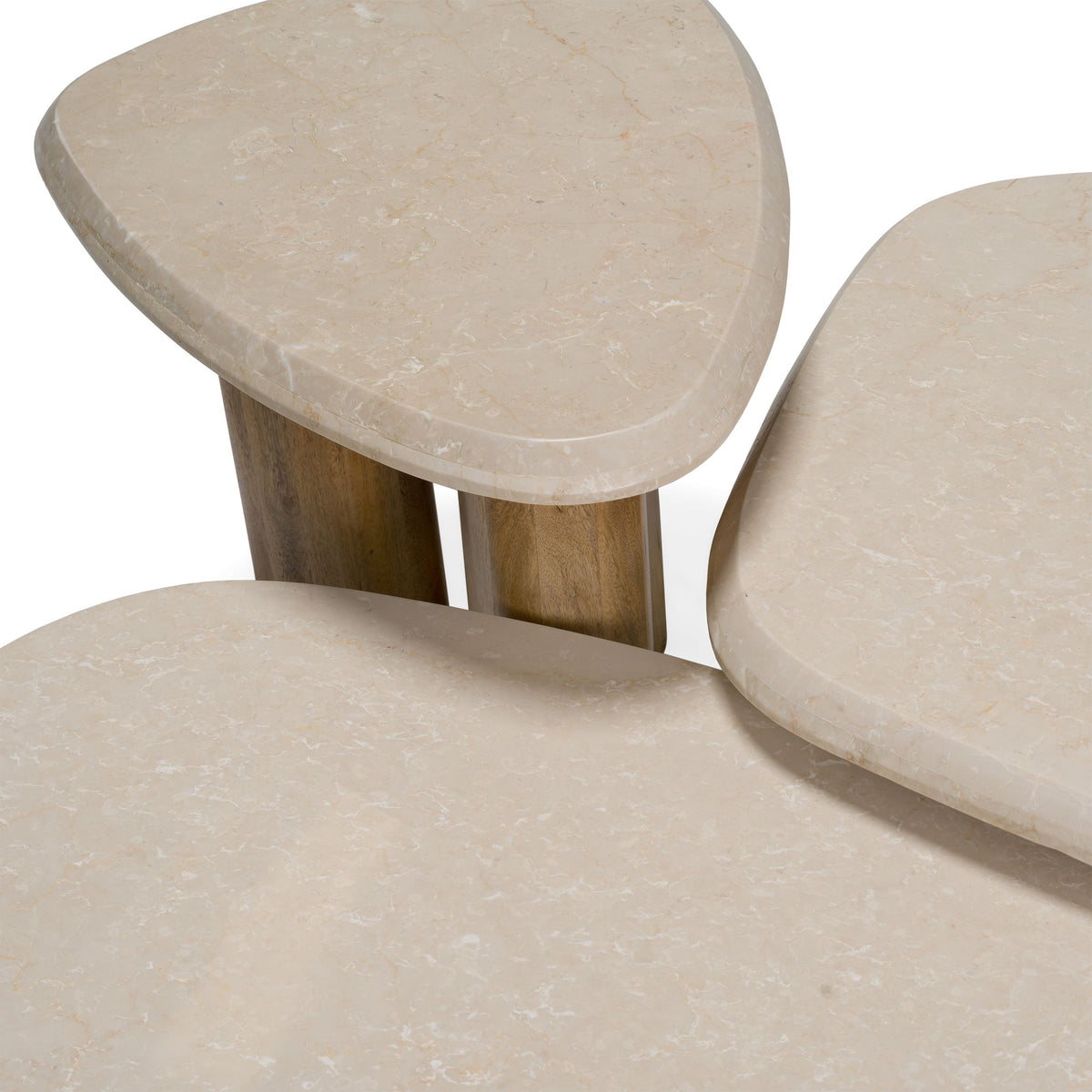 Chicago Modern Marble & Mango Wood Nesting Table Set