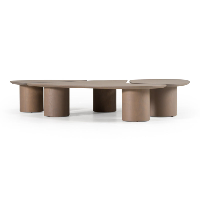 Solene Modern Nesting Coffee Table Set