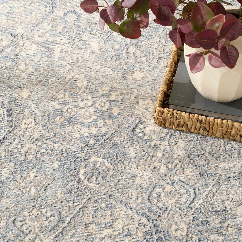 Delphine Blue Plush Area Rug