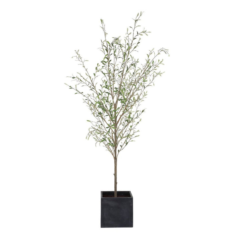 Alice 91" Potted Olive Tree