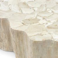 Camilla Fossilized Clam Coffee Table