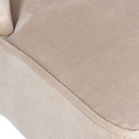 Alexa Champagne Velvet Chair (Set of 2)