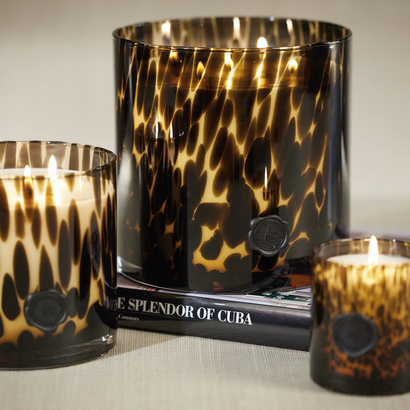 Opal Glass Five-Wick Candle Jar Amber & Black/ Cedar Leaf & Hinoki Cypress (Set of 2)