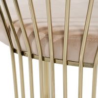 Adelpha Beige Velvet with Polished Gold Dining Chair (Small) - Luxury Living Collection