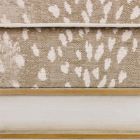 Aquila Doe Taupe & Gold Club Chair