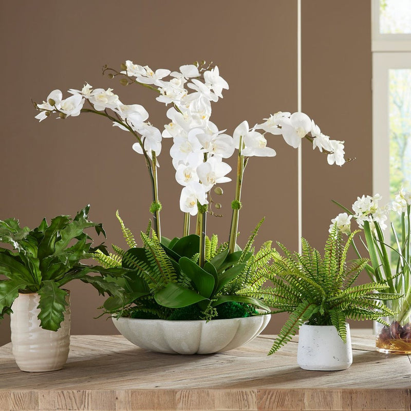 In Bloom Orchid Floral Planter