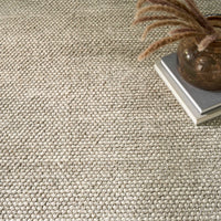 Everly Ivory Grey Handwoven Area Rug