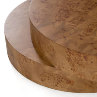 Mason 47" Modern Faux Burl Coffee Table