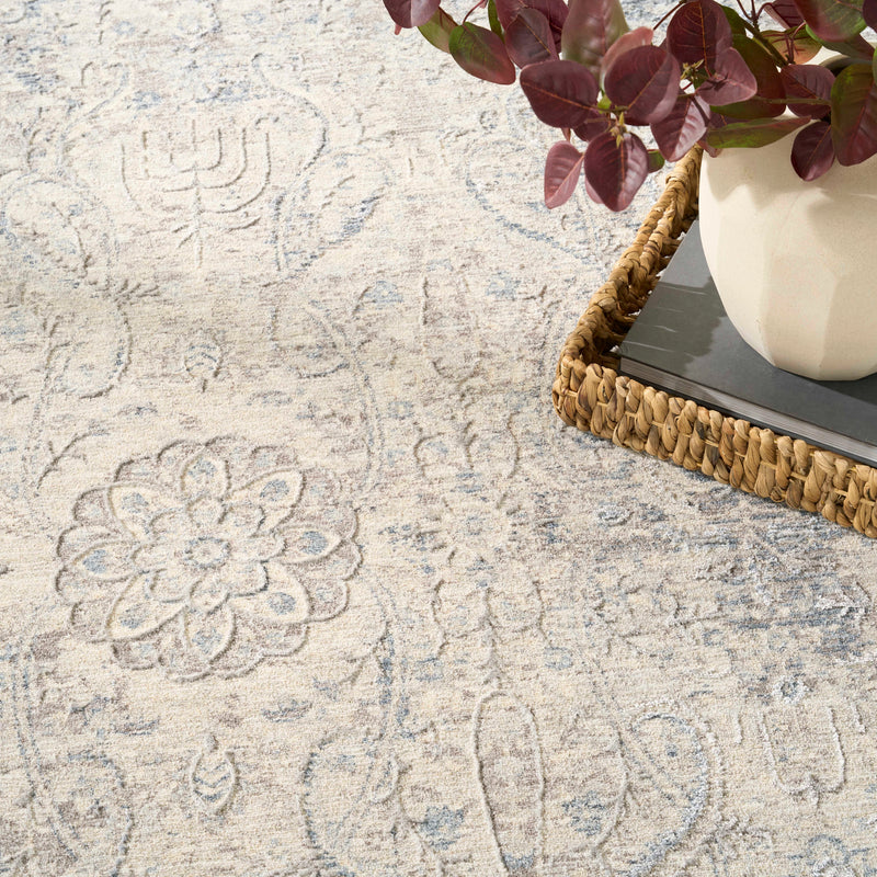 Delphine Grey Blue Area Rug