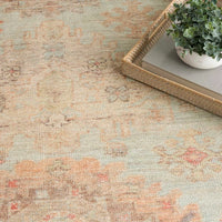 Paris Sage Multicolour Washable Area Rug