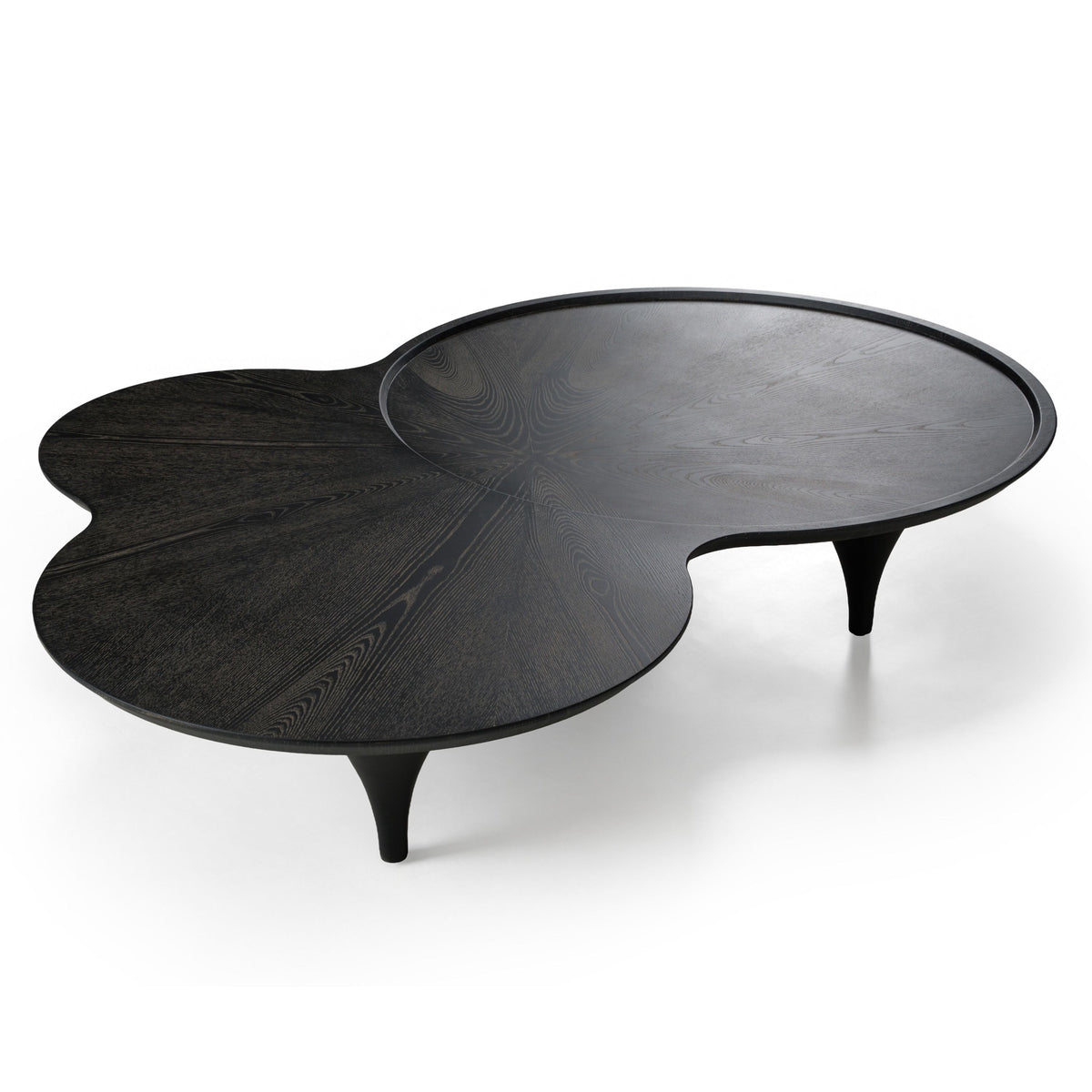 Tisha 64" Modern Free Form Black Ash Coffee Table