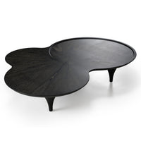 Tisha 64" Modern Free Form Black Ash Coffee Table