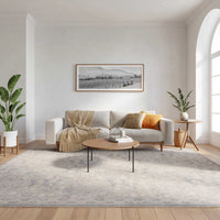 Elara Grey Multicolor Area Rug