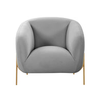 Katie Grey Velvet Accent Chair - Luxury Living Collection