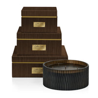 Apothecary Guild Cedar Leaf & Hinoki Cypress Scented Candle - 4 Wick (Set of 4)