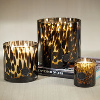 Opal Glass Five-Wick Candle Jar Amber & Black/ Cedar Leaf & Hinoki Cypress (Set of 2)
