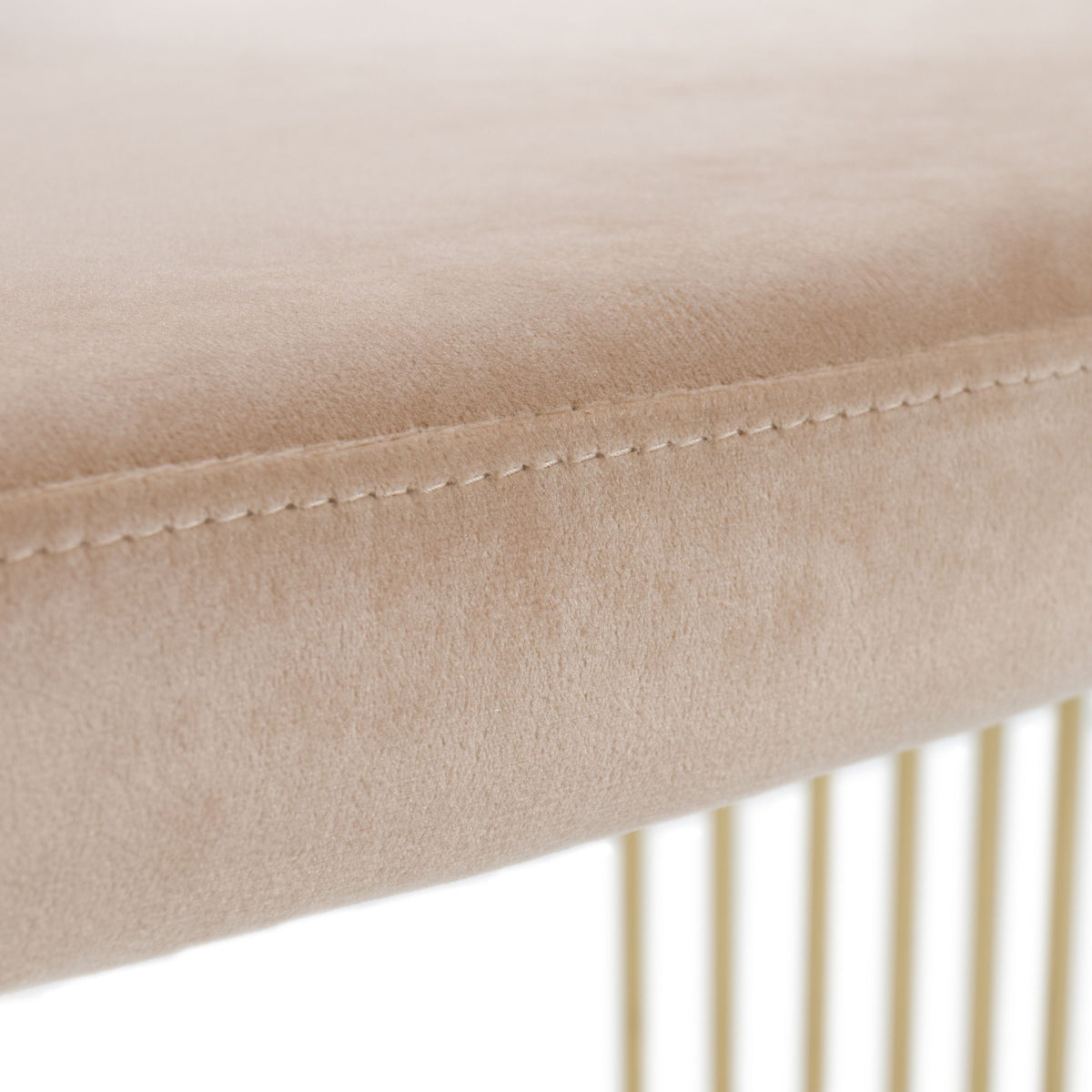 Adelpha Beige Velvet with Polished Gold Dining Chair (Small) - Luxury Living Collection