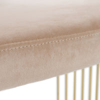 Adelpha Beige Velvet with Polished Gold Dining Chair (Small) - Luxury Living Collection