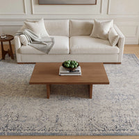 Delphine Grey Blue Area Rug