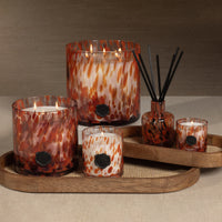 Opal Diffuser in Gift Box - Red/Cardamom Negroni (Set of 4)