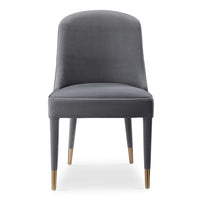 Alexa Grey Velvet Chair (Set of 2)