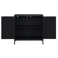 Charolette 2 Door Black Matte Cabinet