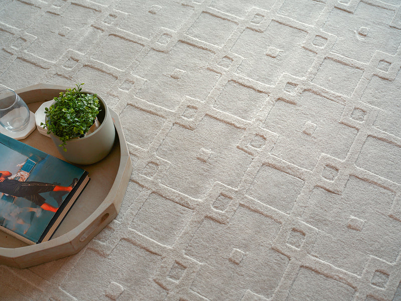 Ramo Modern Light Silver Patterned Area Rug - Elegance Collection