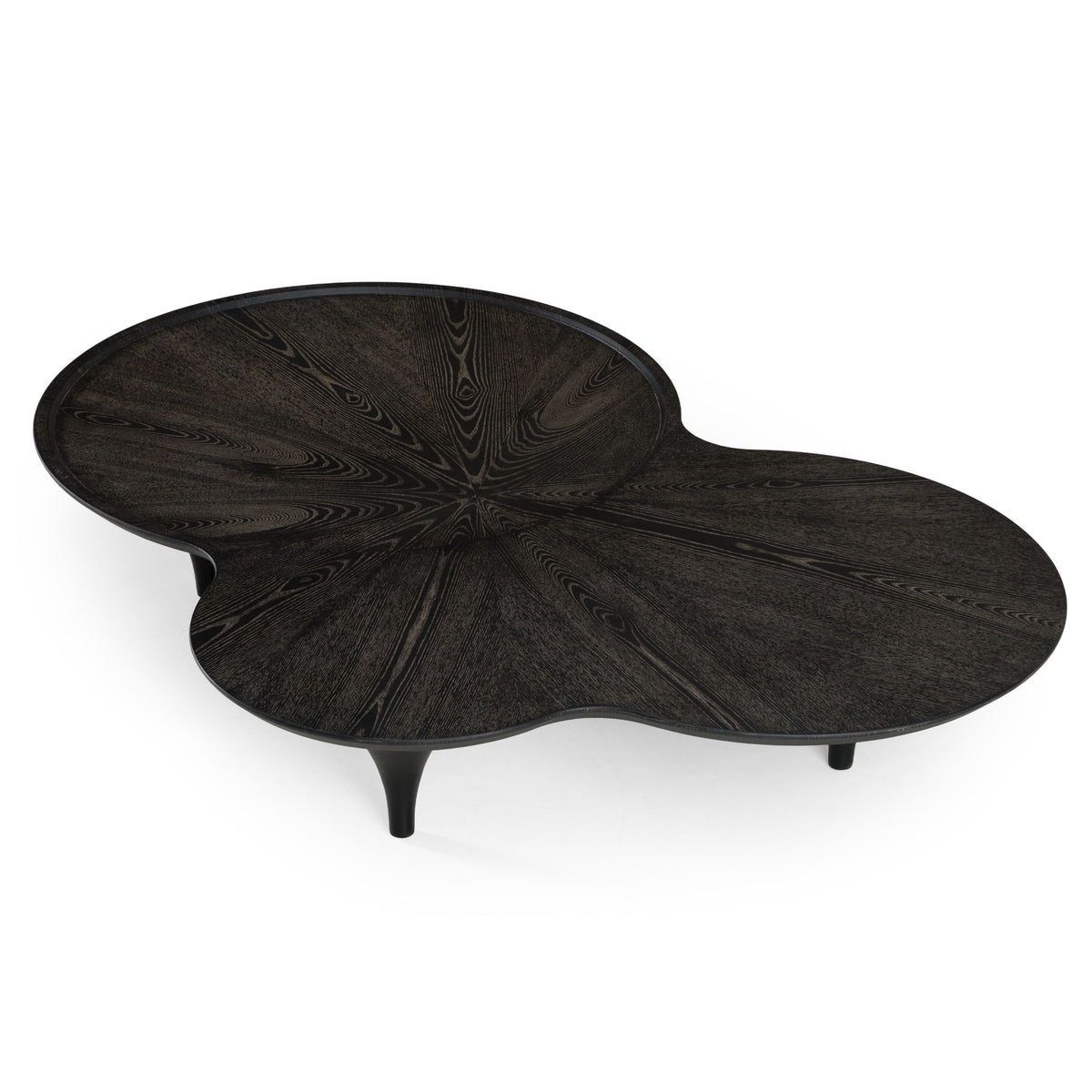 Tisha 64" Modern Free Form Black Ash Coffee Table