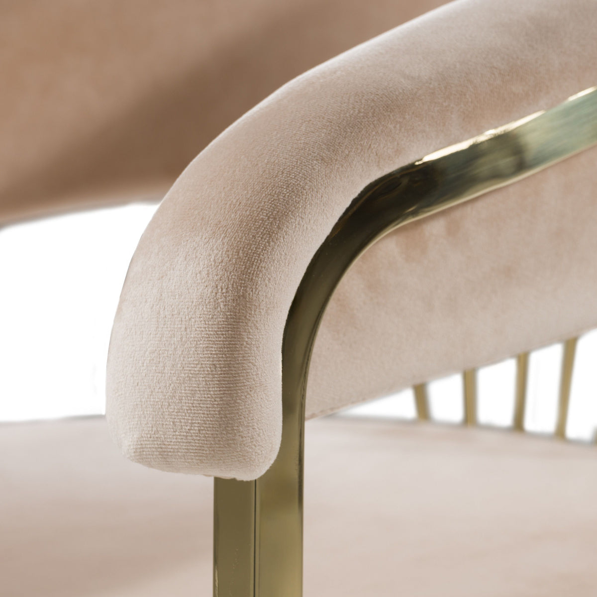 Adelpha Beige Velvet with Polished Gold Dining Chair (Small) - Luxury Living Collection
