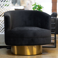 Bergen Modern Black Fabric with Brushed Gold Accent Chair