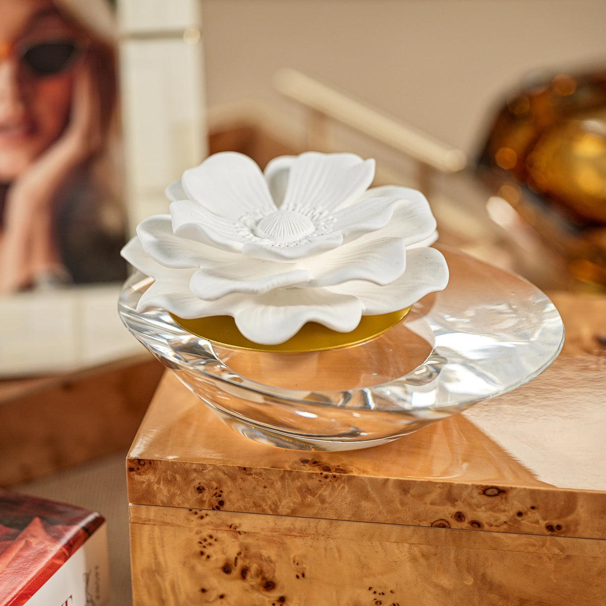 Dream Fig Vetiver Fragrance Porcelain & Crystal Diffuser (Sets of 2 & 4) - 2 Sizes Available