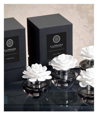 Illuminaria Laurel Magnolia Scented Porcelain Diffuser in Gray Bottle (Set of 4)