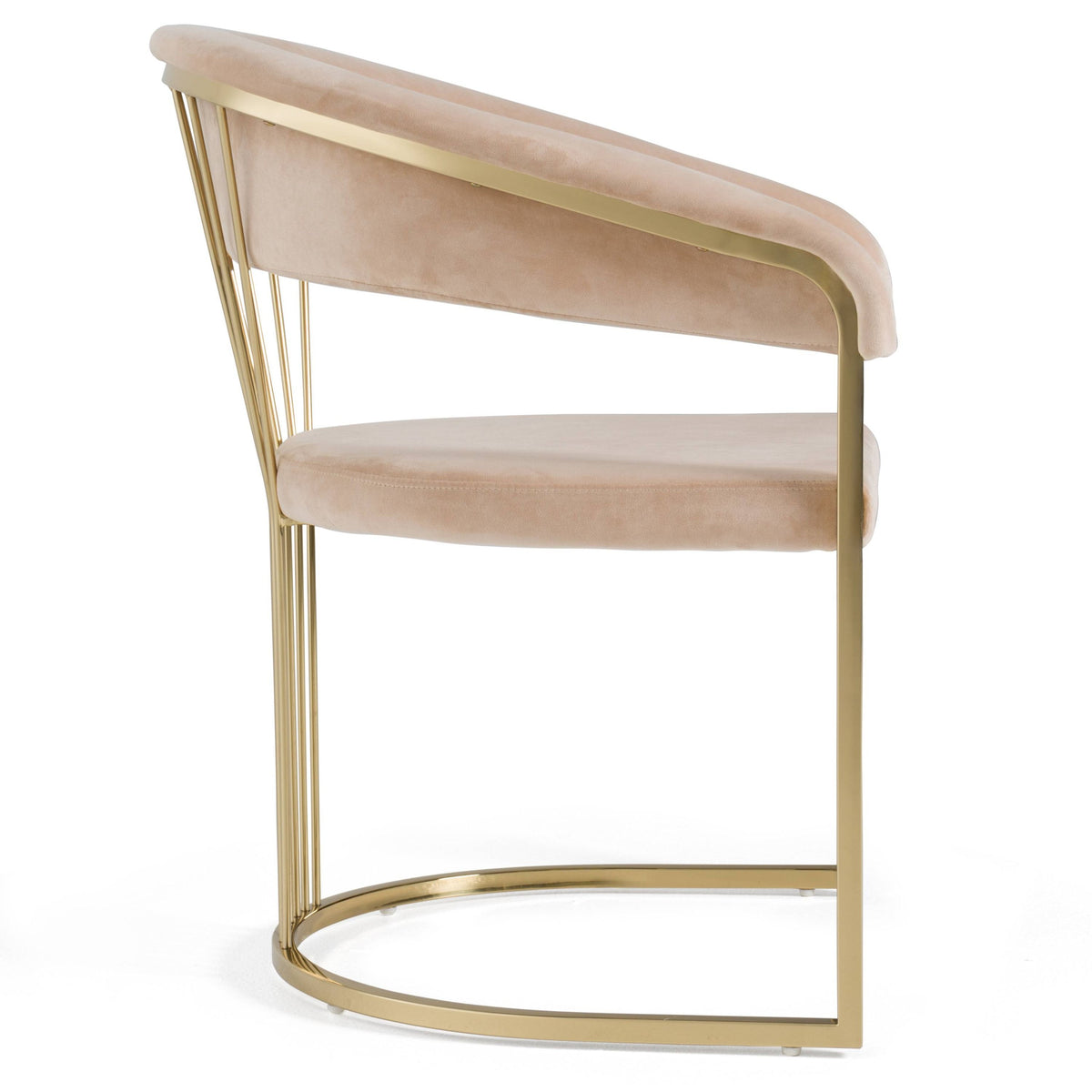 Adelpha Beige Velvet with Polished Gold Dining Chair (Small) - Luxury Living Collection