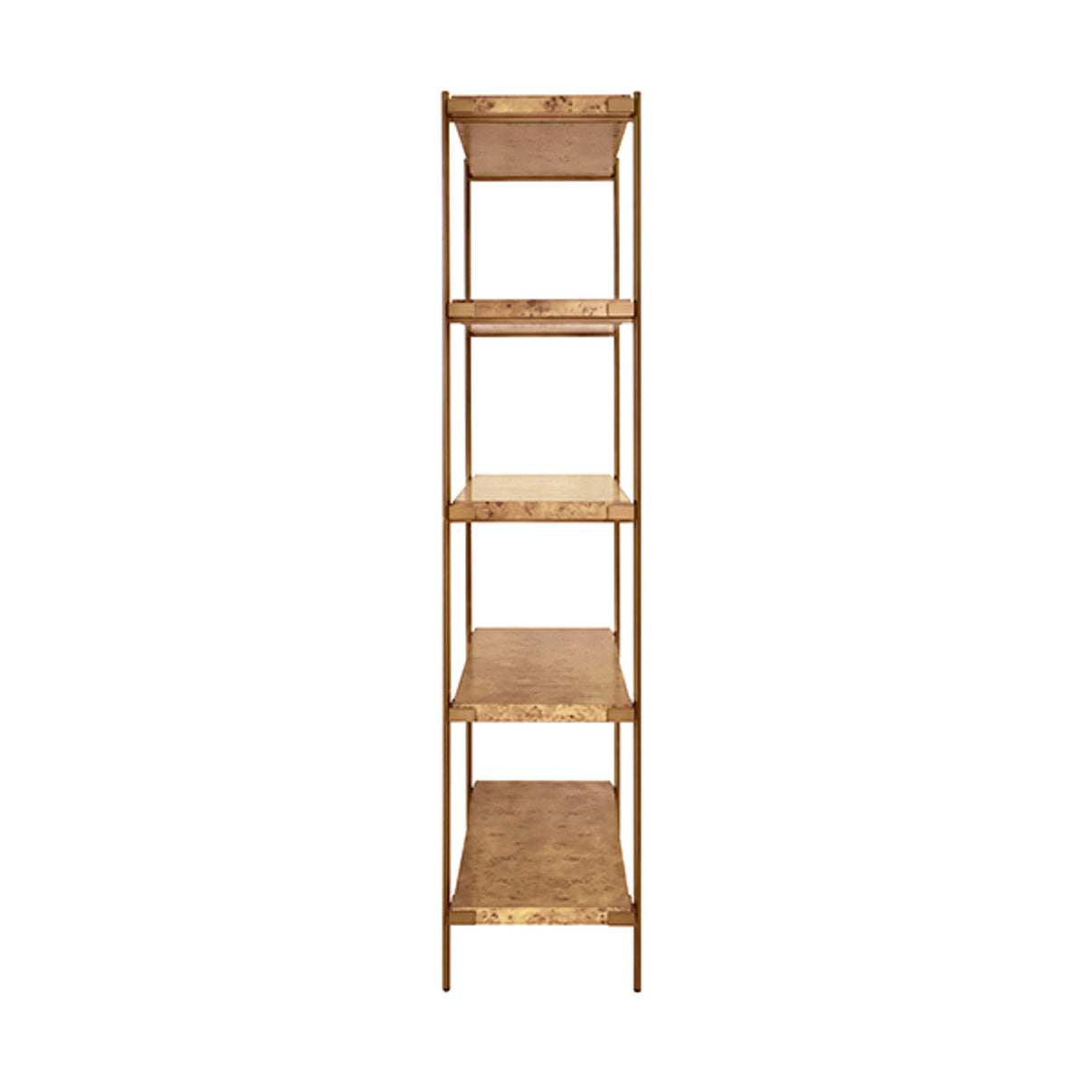Jillian Burl Wood & Brass Shelving