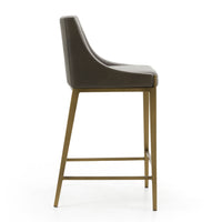 Aarya Grey & Brass Counter Stool