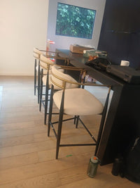 Nicole Modern Beige/Gold & Black Counter Stool
