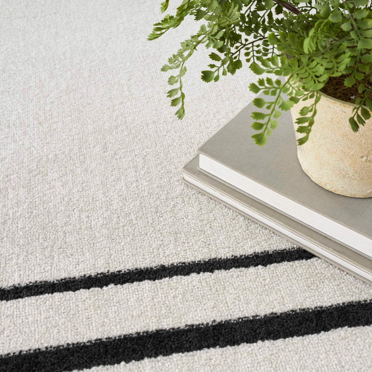 Ainslee Indoor/Outdoor Ivory & Black Area Rug - Elegance Collection