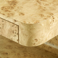 Mariano 2 Drawer Burl Wood End Table