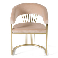 Adelpha Beige Velvet with Polished Gold Dining Chair (Small) - Luxury Living Collection
