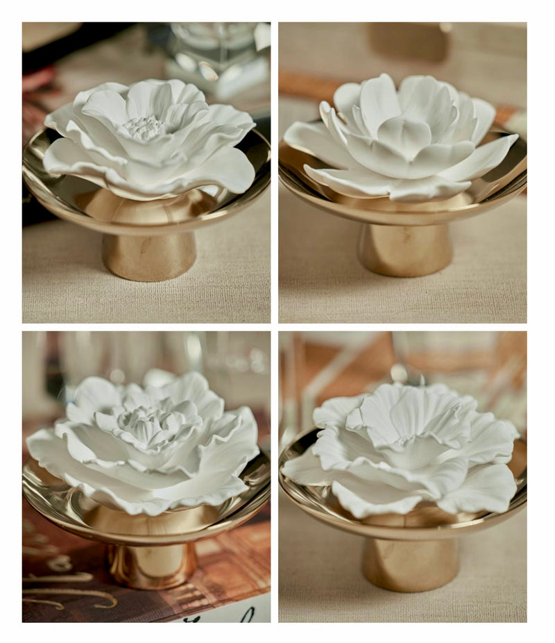 Apothecary Inspire Passion Fig Vetiver Fragrance Porcelain Diffuser (Set of 4)