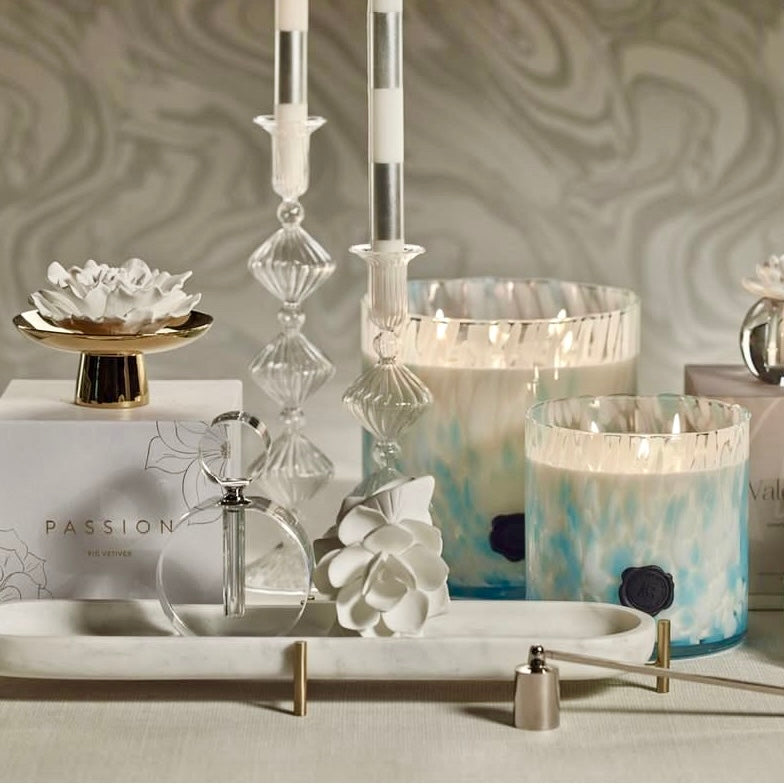 Apothecary Inspire Passion Fig Vetiver Fragrance Porcelain Diffuser (Set of 4)