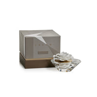 Dream Fig Vetiver Fragrance Porcelain & Crystal Diffuser (Sets of 2 & 4) - 2 Sizes Available