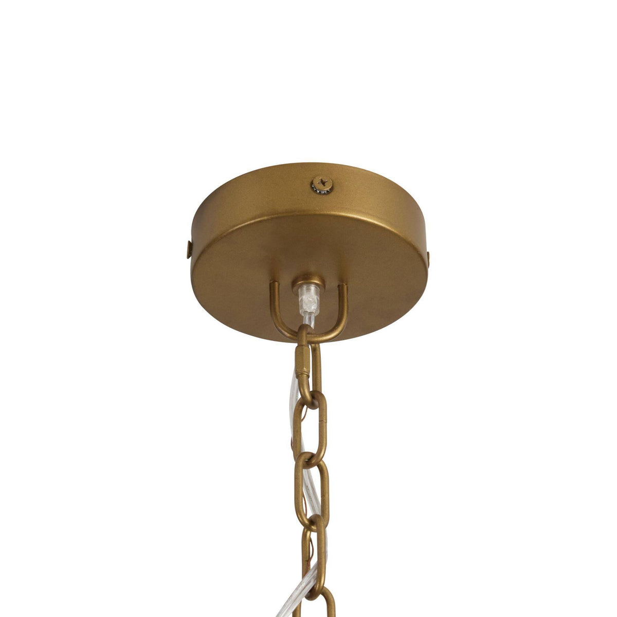 Bilal 52" Eucalyptus Stain Coco Shell Round Chandelier