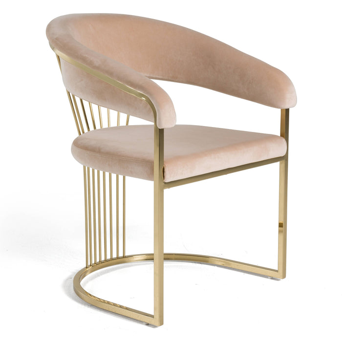 Adelpha Beige Velvet with Polished Gold Dining Chair (Small) - Luxury Living Collection
